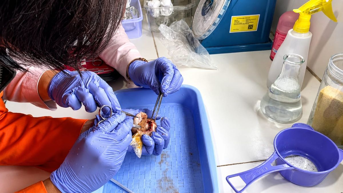 Identifikasi dan sampling laboratorium
